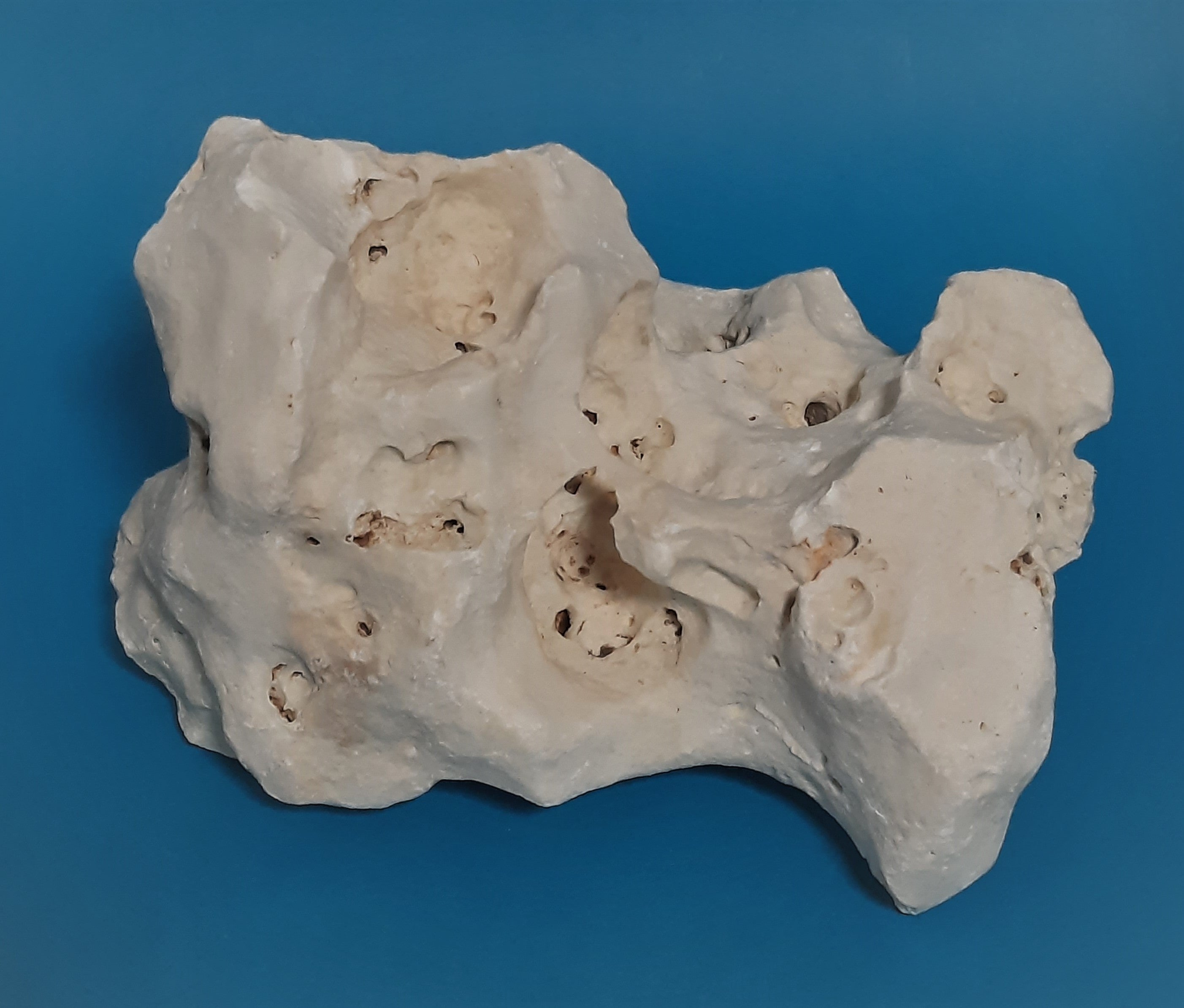 Orbit Lochgestein Sansibar M #013