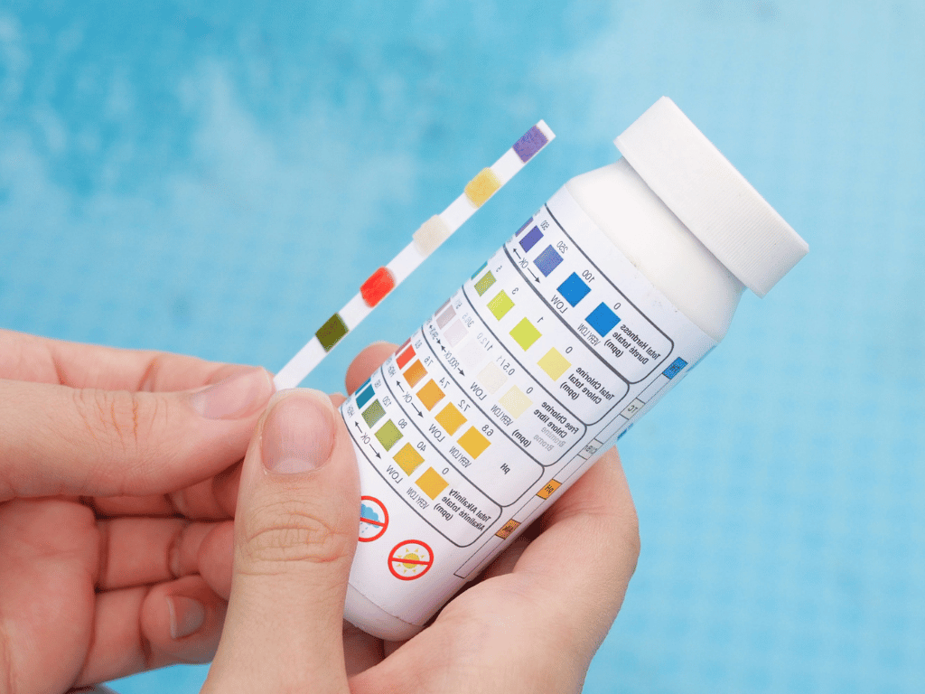 Aquarium Wasserwerte testen: Diese Werte sind wirklich wichtig