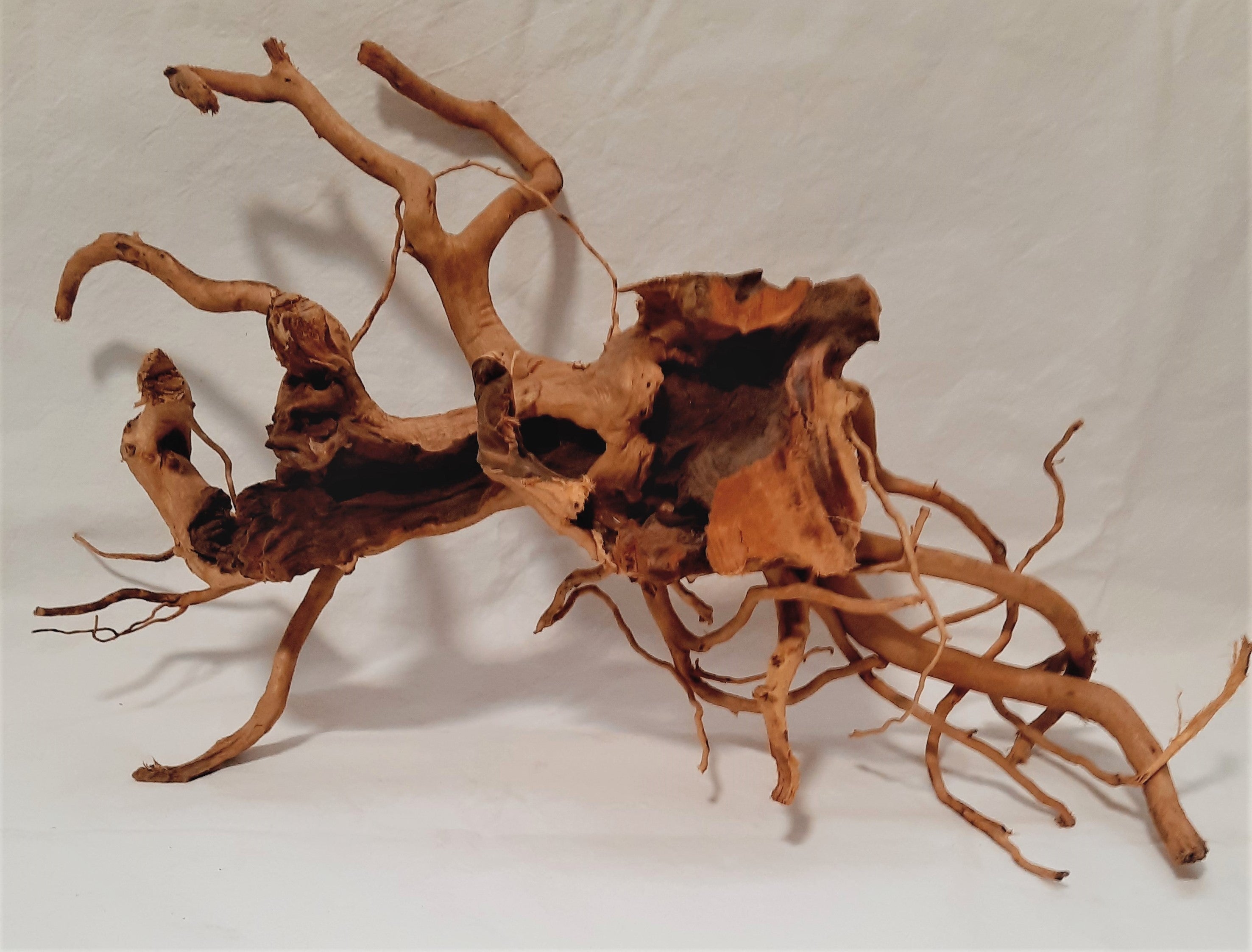 Spiderwood, Rote Moorwurzel Deko