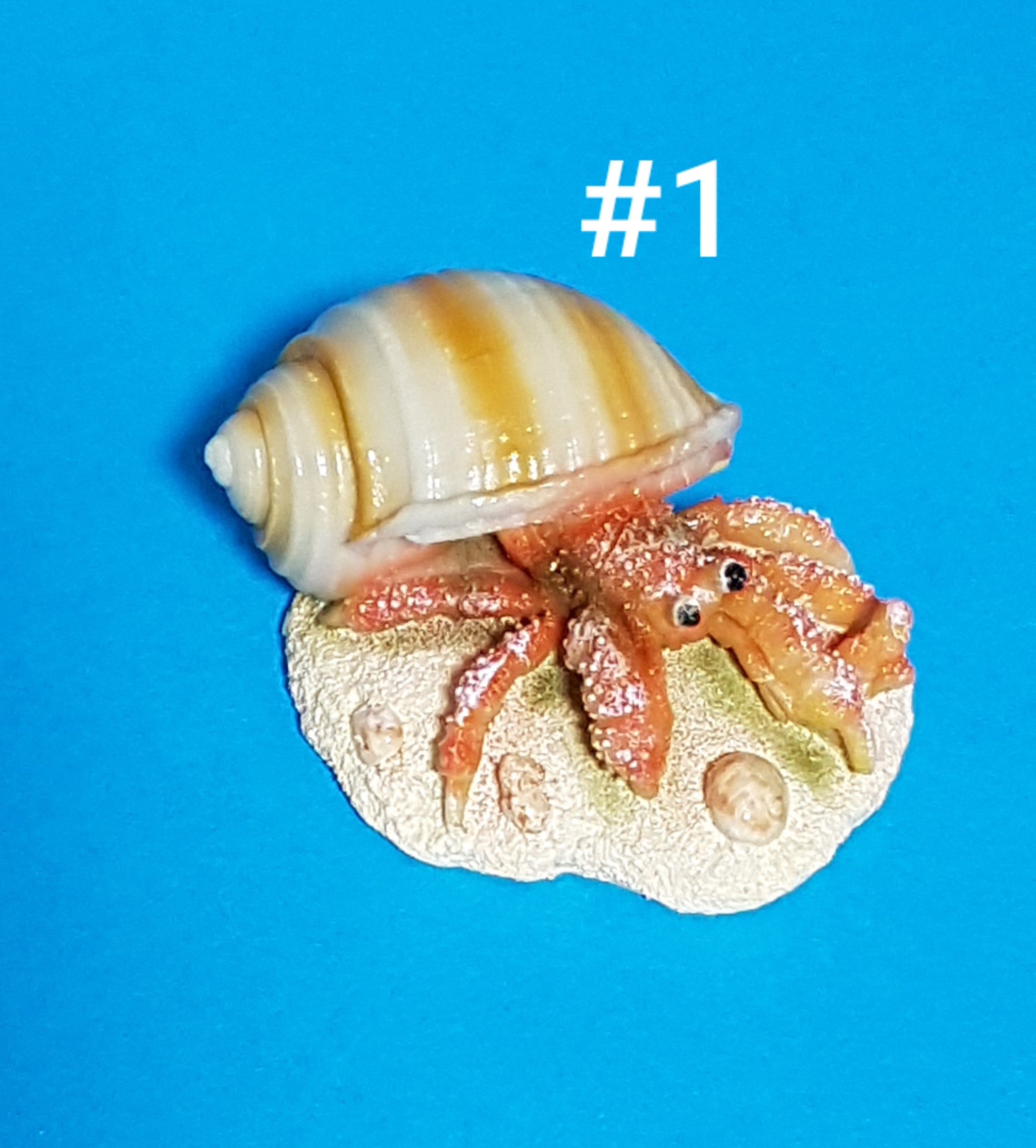 Europet Deko Hermit Crab Einsiedlerkrebs mit Muschel