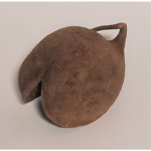 Natürliche Deko-Muschel-Nuss 8-15cm