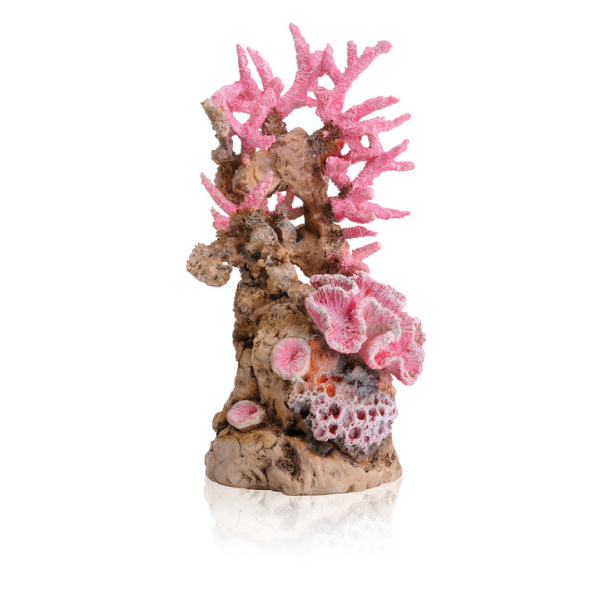 biOrb Korallenriff Ornament pink