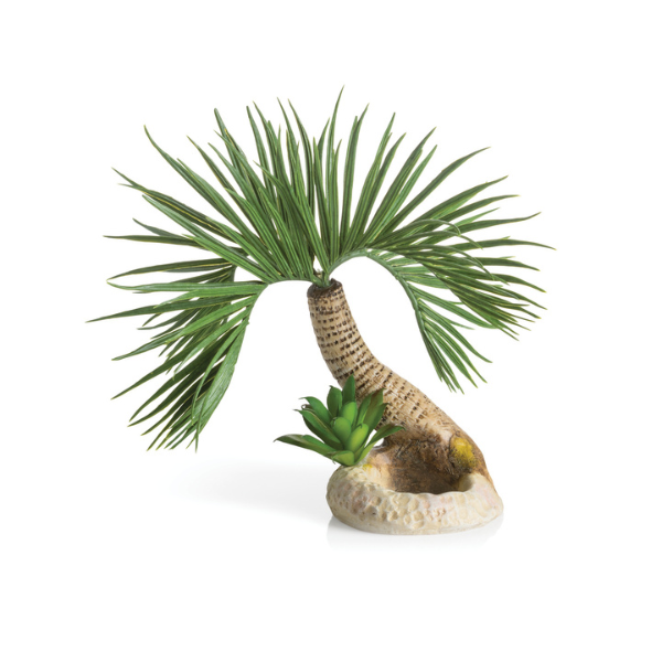 biOrb Palme Seychellen Ornament S