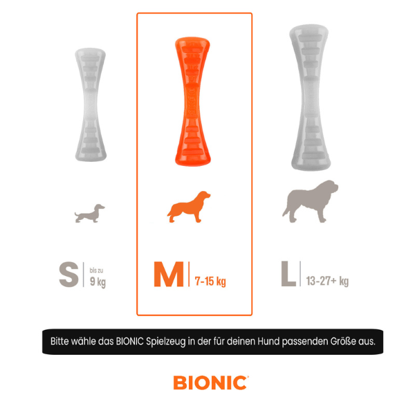 BIONIC Urban Stick M Hunde-Kauspielzeug mit 2 Leckerli-Fächern