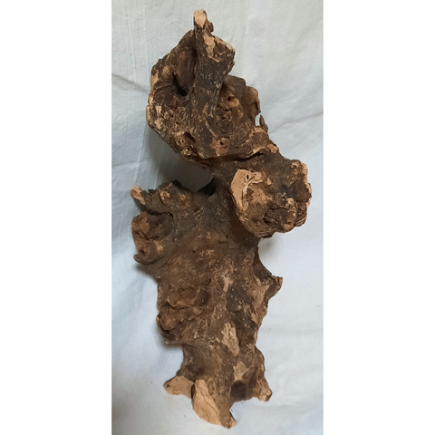 Barico Wurzel Large #109
