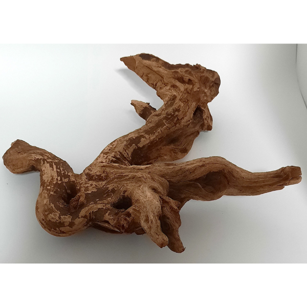 Sera Drift Wood, Natürliches Treibholz M #01