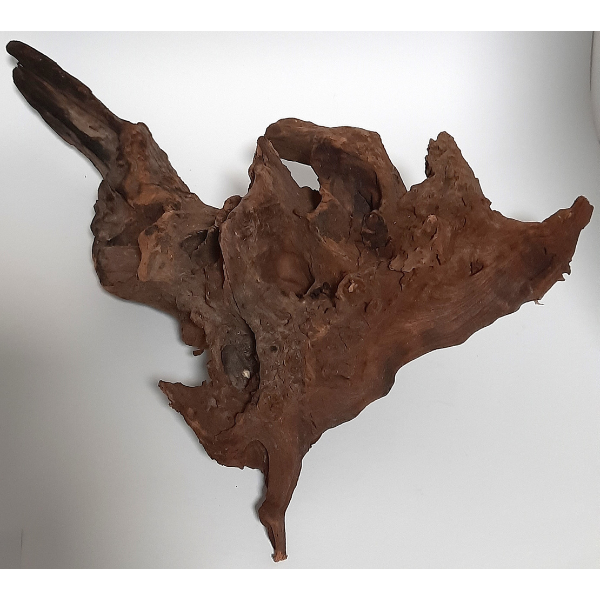 Sera Drift Wood, Natürliches Treibholz M #02