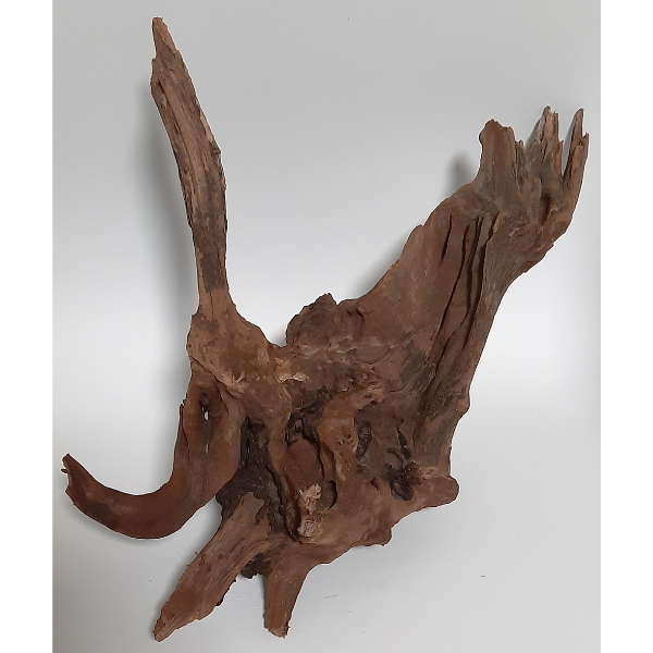 Sera Drift Wood, Natürliches Treibholz M #04