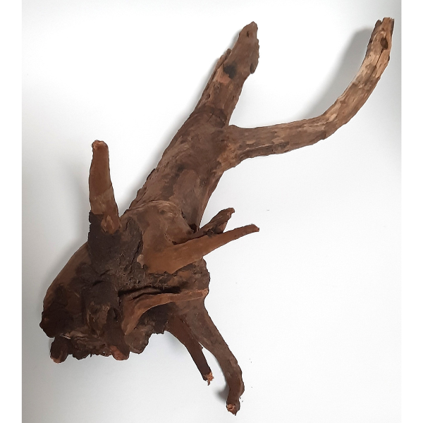 Sera Drift Wood, Natürliches Treibholz M #06