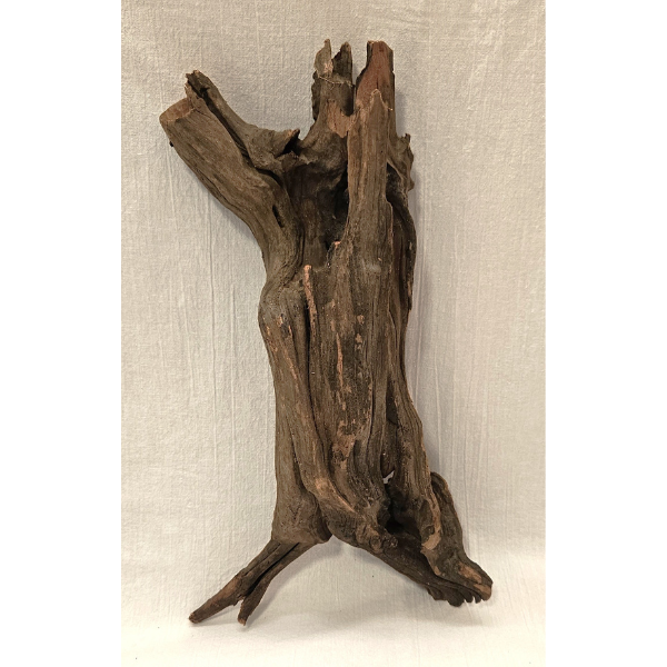Sera Drift Wood, Natürliches Treibholz M #011