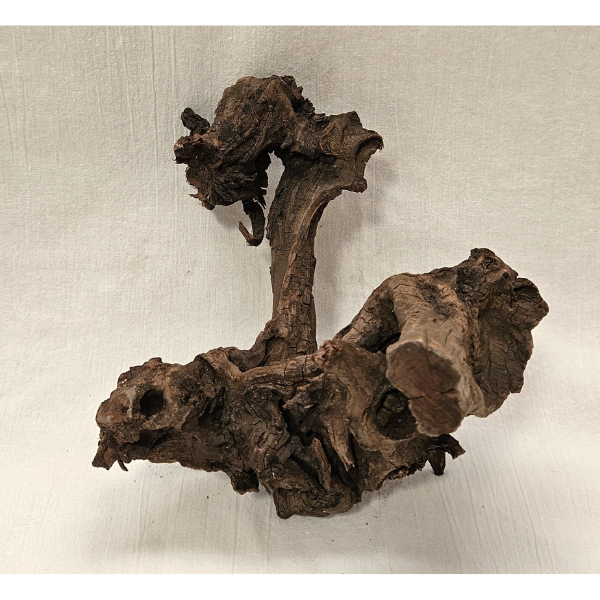 Sera Drift Wood, Natürliches Treibholz M #012
