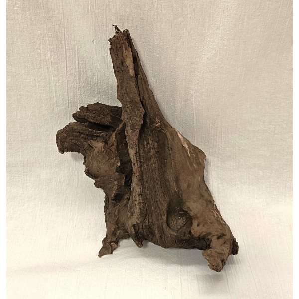 Sera Drift Wood, Natürliches Treibholz M #014