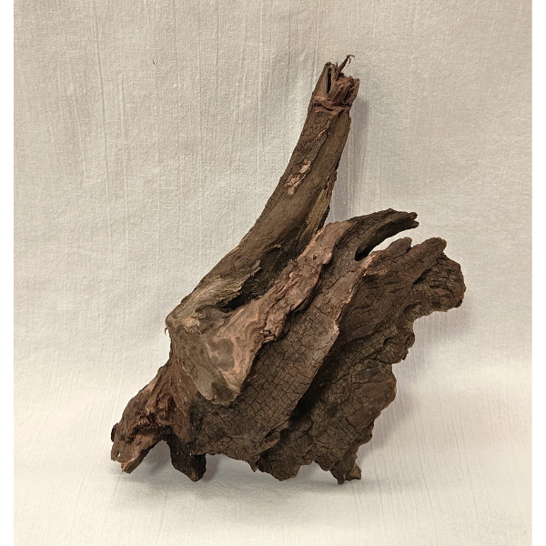 Sera Drift Wood, Natürliches Treibholz M #014