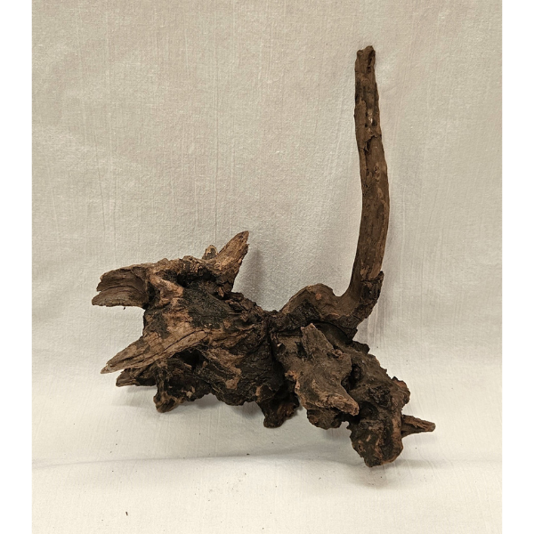 Sera Drift Wood, Natürliches Treibholz M #016