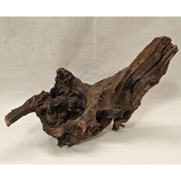 Sera Drift Wood, Natürliches Treibholz M #017