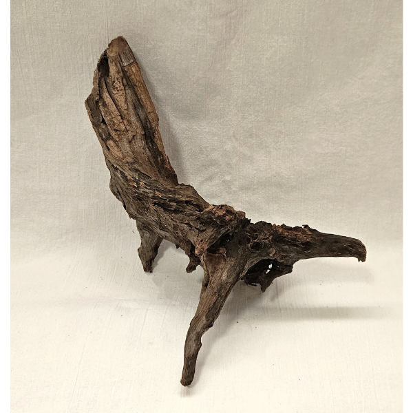 Sera Drift Wood, Natürliches Treibholz M #017