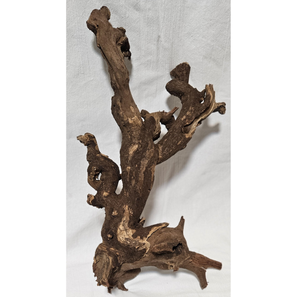 aquadeco Flusswurzel, River Wood M #13