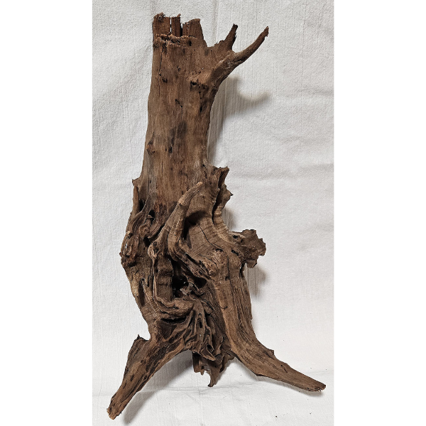 aquadeco Flusswurzel, River Wood M #17