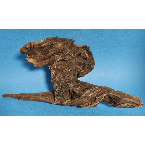 aquadeco Flusswurzel, River Wood S #21