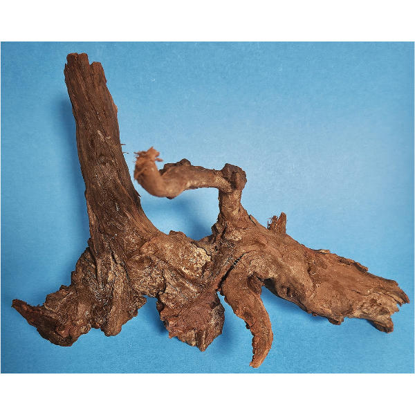 aquadeco Flusswurzel, River Wood S #24