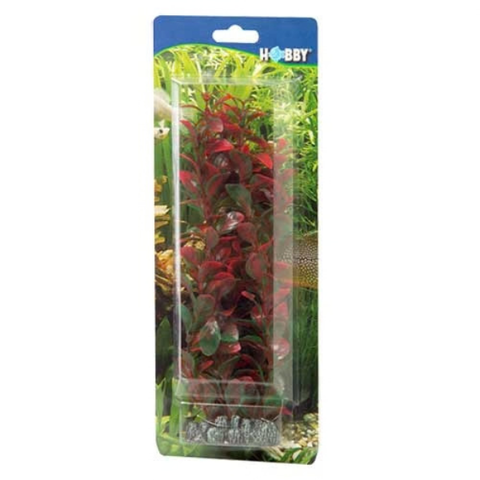 Hobby Kunstpflanze Ludwigia 25, 34 und 60cm länge.