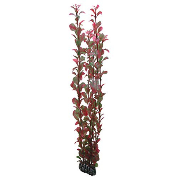Hobby Kunstpflanze Ludwigia 60cm