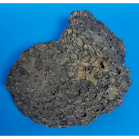 aquadeco Schwarzer Lava-Stein Premium M 15-20cm