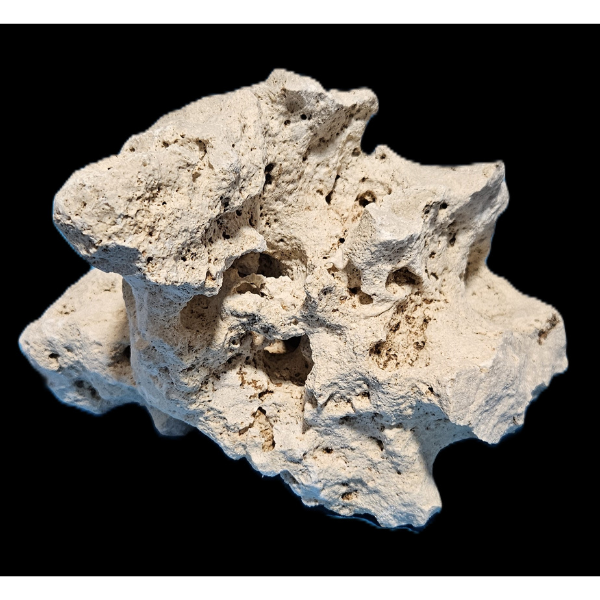 Orbit Lochgestein Sansibar M #033