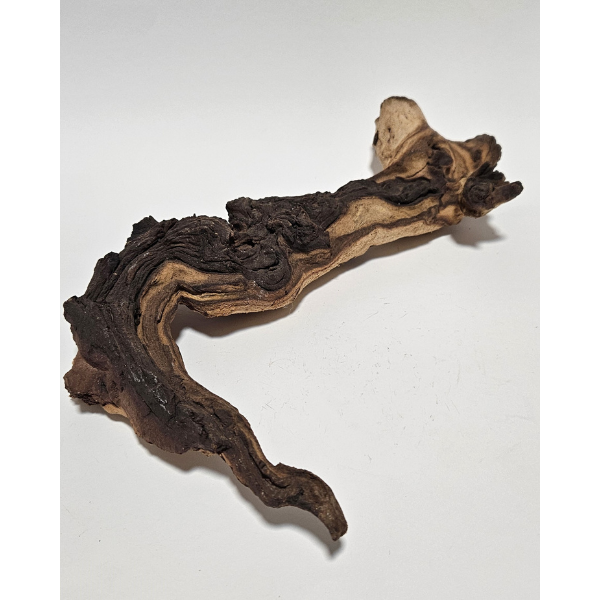 Aquadeco Mopani Wurzel M 2-farbig #316