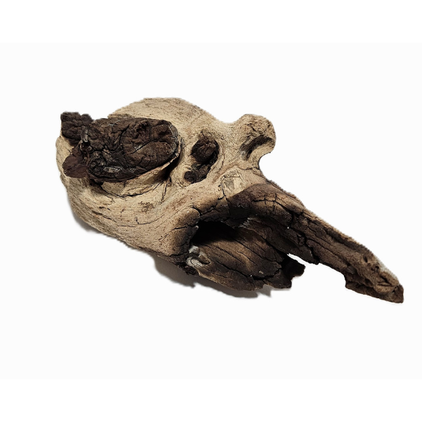 Aquadeco Mopani Wurzel S 2-farbig #101