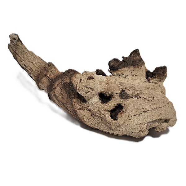 Aquadeco Mopani Wurzel S 2-farbig #101