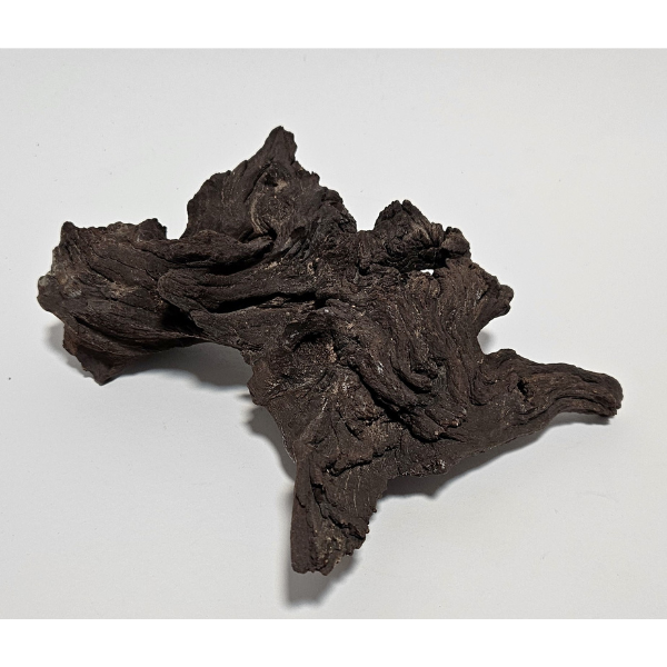 Aquadeco Mopani Wurzel S braun #102