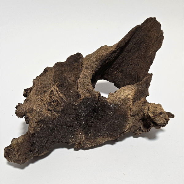 Aquadeco Mopani Wurzel S braun #103