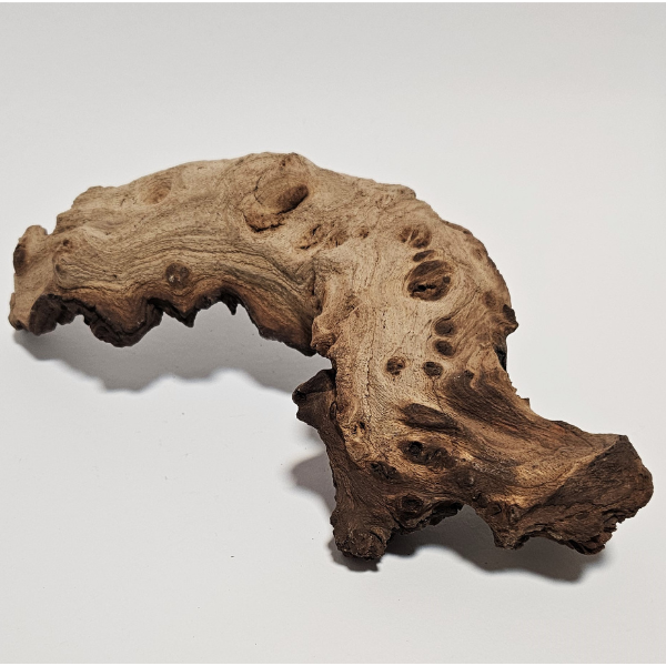 Aquadeco Mopani Wurzel S 2-farbig #104