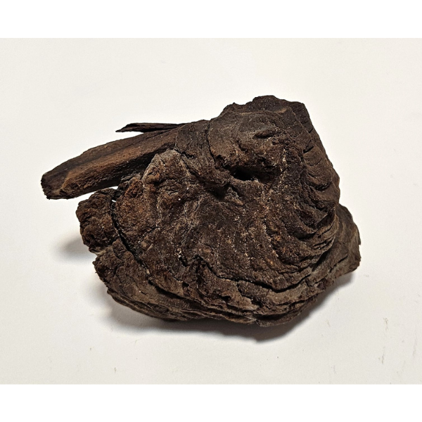 Aquadeco Mopani Wurzel S braun #105