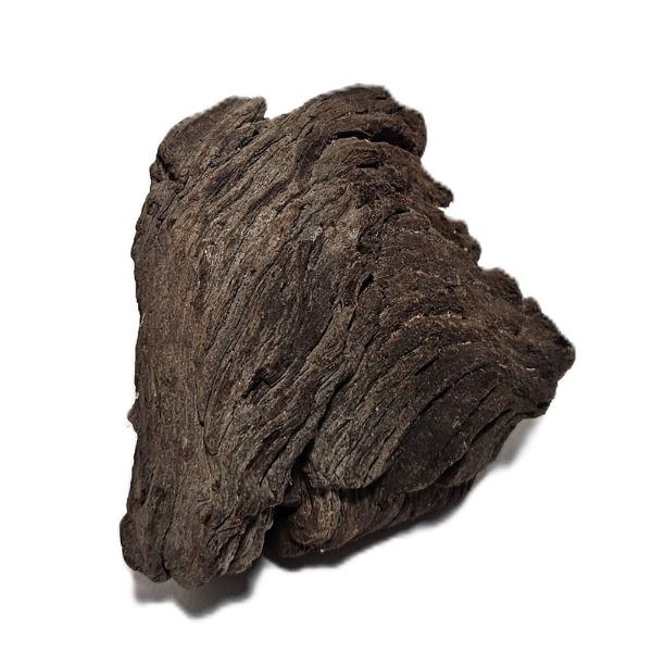 Aquadeco Mopani Wurzel S braun #105