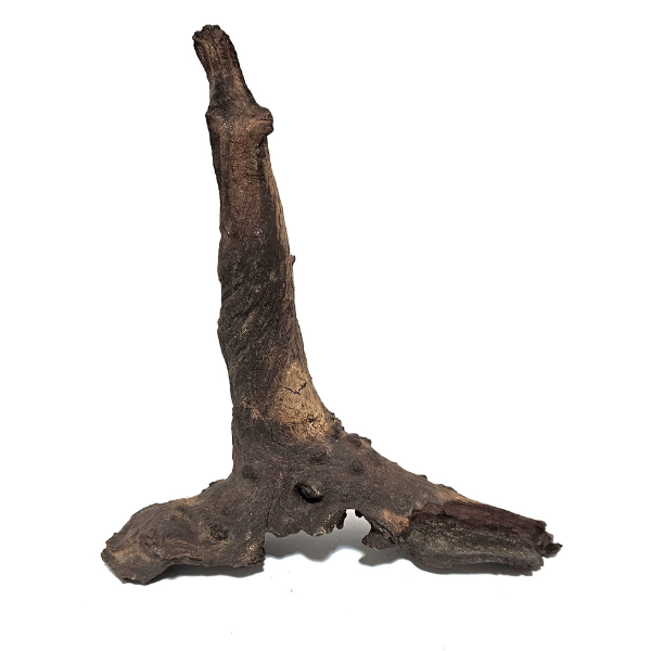 Aquadeco Mopani Wurzel S braun #106