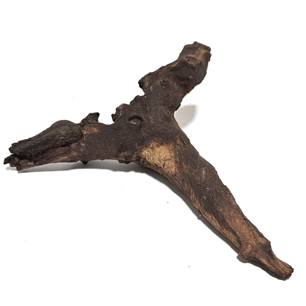 Aquadeco Mopani Wurzel S braun #106