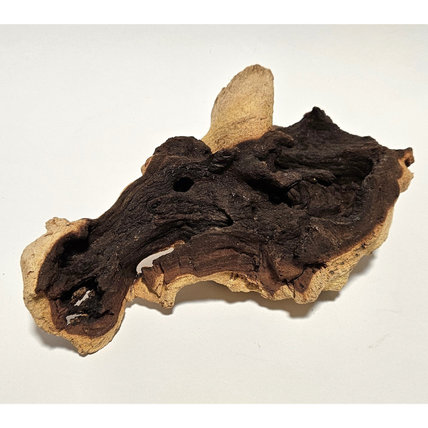 Aquadeco Mopani Wurzel S 2-farbig #107