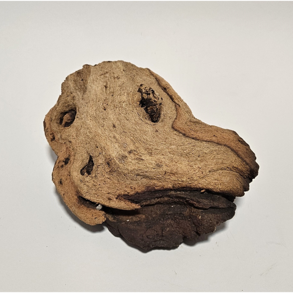 Aquadeco Mopani Wurzel S 2-farbig #109