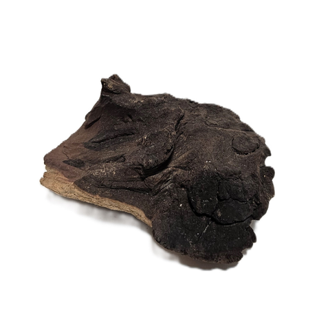 Aquadeco Mopani Wurzel S 2-farbig #109