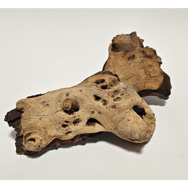 Aquadeco Mopani Wurzel S 2-farbig #110