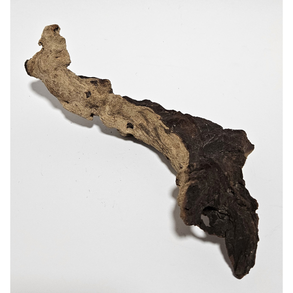 Aquadeco Mopani Wurzel S 2-farbig #112