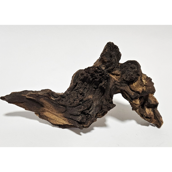 Aquadeco Mopani Wurzel S 2-farbig #113