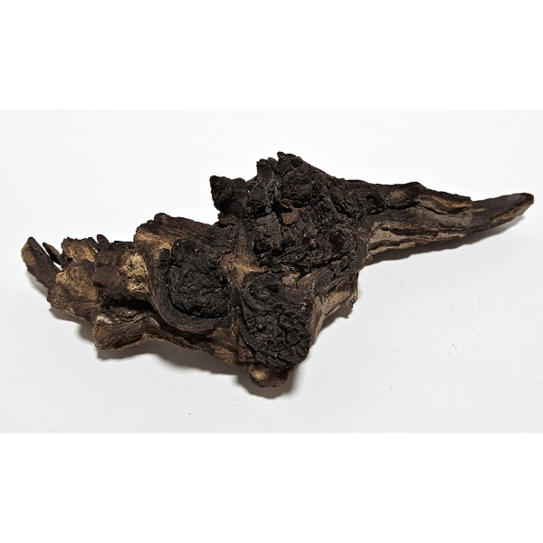 Aquadeco Mopani Wurzel S 2-farbig #113