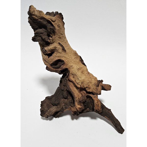 Aquadeco Mopani Wurzel S 2-farbig #115