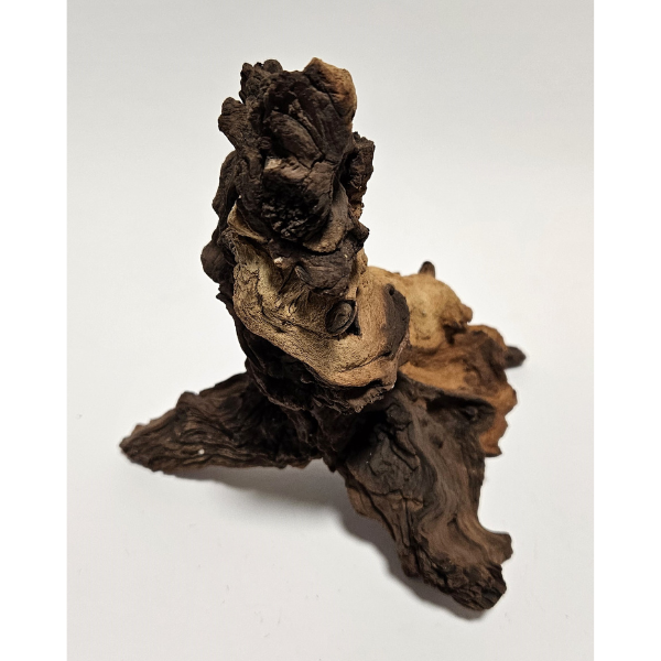 Aquadeco Mopani Wurzel S 2-farbig #115