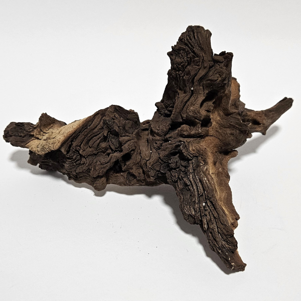 Aquadeco Mopani Wurzel S 2-farbig #115