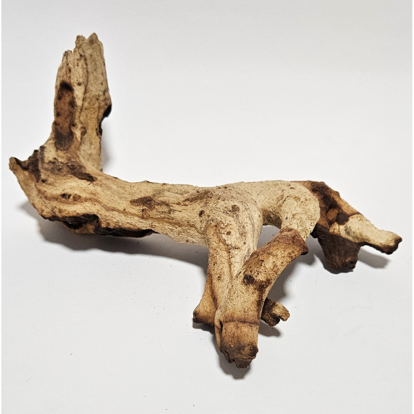 Aquadeco Mopani Wurzel S 2-farbig #116