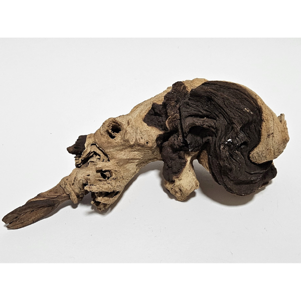 Aquadeco Mopani Wurzel S 2-farbig #118